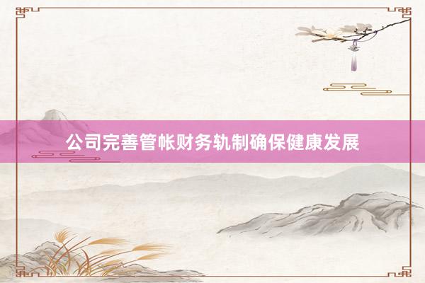 公司完善管帐财务轨制确保健康发展